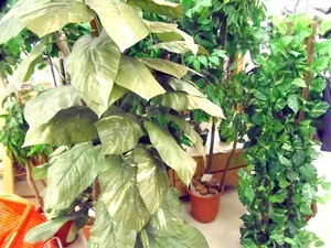 人工観葉植物を買取いたしました。 【岡山県津山市】