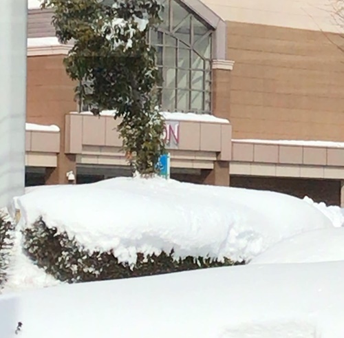 営業しておりますが、積雪にご注意ください。　ｍ　津山市の質屋